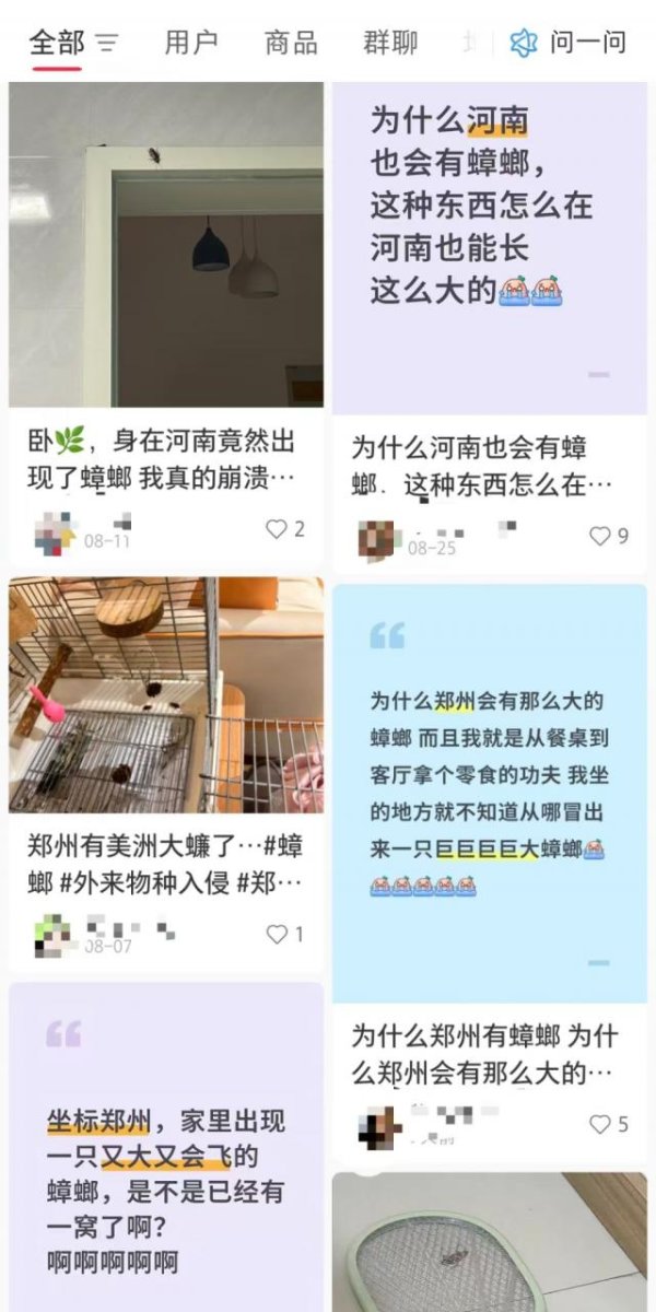 玖富智配 河南多地惊现南方会飞大蟑螂，网友纷纷晒图：这玩意儿到底咋来的？